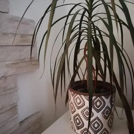 Free Private Parking Appartement *