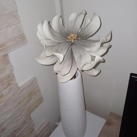 Free Private Parking Novi Sad