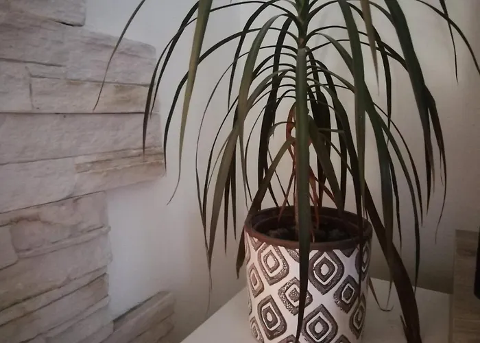 Free Private Parking 아파트 *