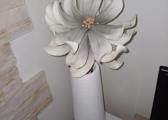 Free Private Parking 노비사드